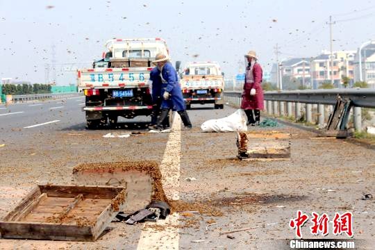 �˷䳵��׷β�෭&nbsp;500��ֻ�۷���ָ���