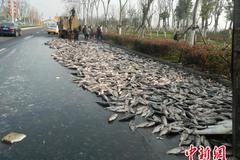 �㽭�����෭ 7ǧ����ʻ����㡰��·��