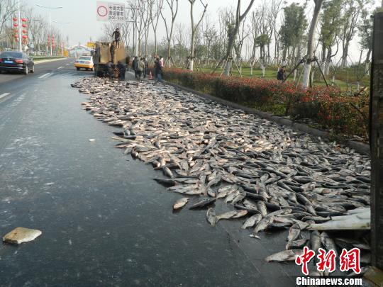 �㽭�����෭&nbsp;7ǧ����ʻ����㡰��·��