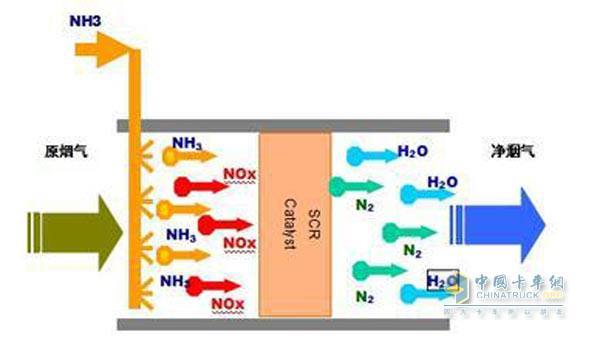 315ȫ���٣�&nbsp;���Ķ���������Щ��֪ʶ