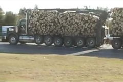 7��ԭľ���������� �������ɭ��������