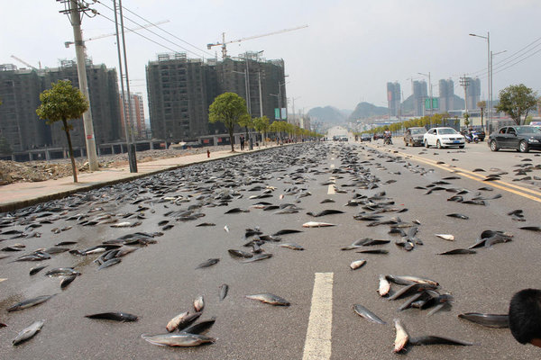 �������ɢ��һ��&nbsp;��·˲��ɡ���ء�