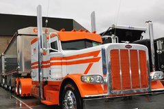 Ũ���Ĳ��Ǿ��� ����չ��Ƶ������Ϲ��