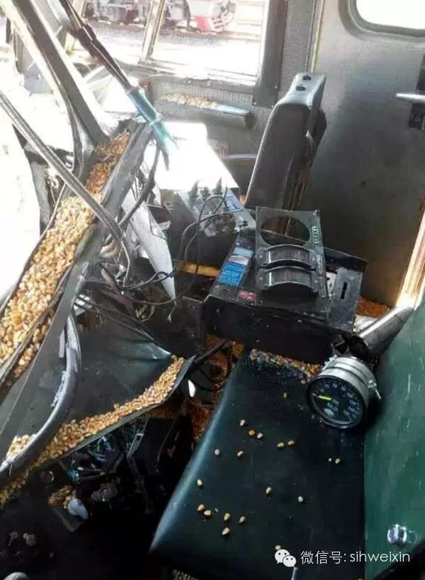 ��Ӳ������&nbsp;��ʨ�����ײ&nbsp;��ʻԱ�Ҵ�