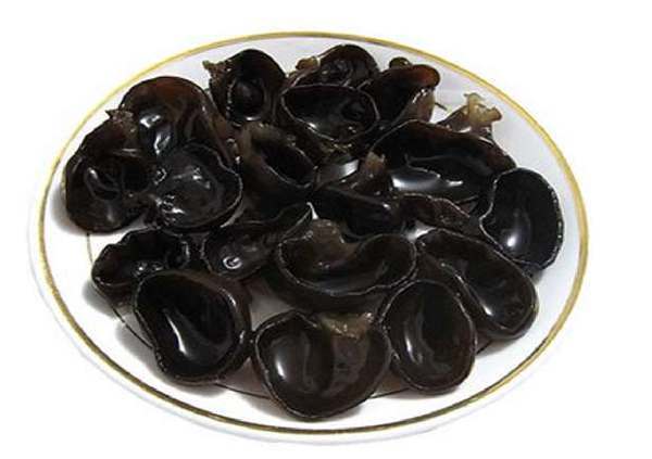 HOWO�Ῠέ��Ѳչ&nbsp;ȫ��ʵʩ1+1�������