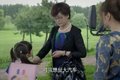 电视剧虎妈猫爸热播 赵薇霸气开欧马可
