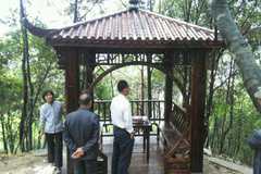 ��ͤҲ�ܰ���! ���ܵ��Ա�ʵ��̫������