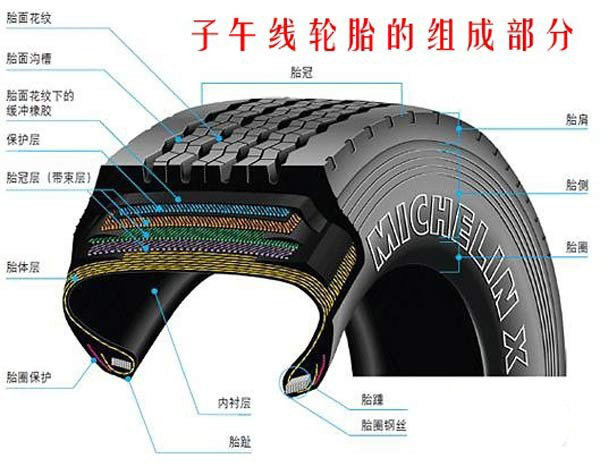 С������ѧ��&nbsp;���ѡ��б��̥������̥