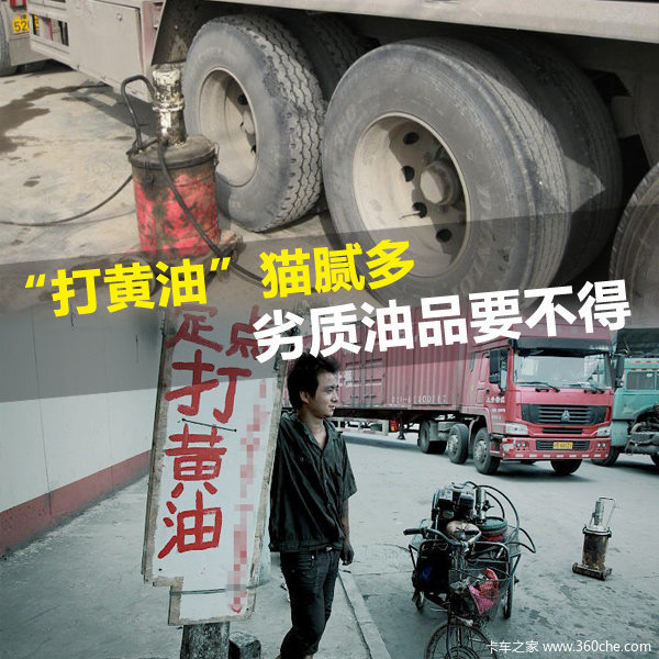 �����è���&nbsp;��ֹ������֬�˺�����