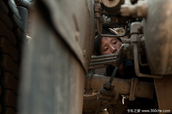 �����è���&nbsp;��ֹ������֬�˺�����