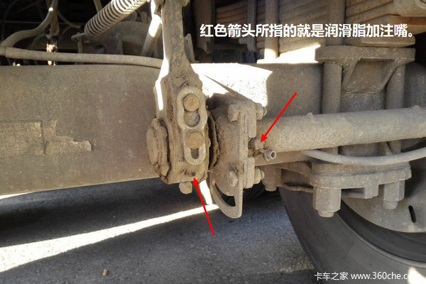 �����è���&nbsp;��ֹ������֬�˺�����