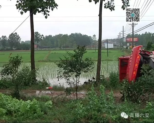 �������¹�ɰʯ��ũ��&nbsp;��20���������