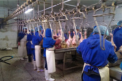 ���������������Ͱ�Ͷ���ʽ�����ɲ���