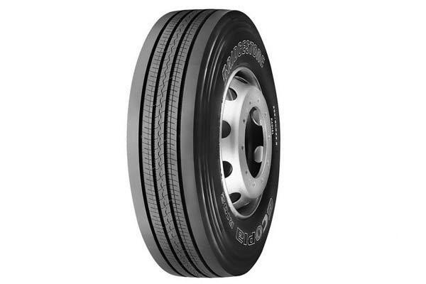 С������ѧ��&nbsp;��ͬ����ѡ��ͬ����̥