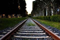 ����ί�ϵ���·�����˼� 8��1����ʵ��