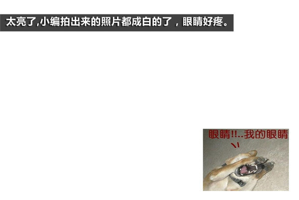 ��������е㷳&nbsp;��ʹ�����ܺ�����ô˵