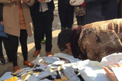 ���Ա����ô���Ĳ� ������İ���ô��