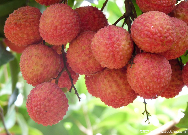 ������ǹҲ������&nbsp;��ˮ���ܳԳ��Ƽݣ�