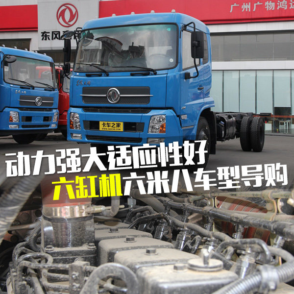 ����ǿ����Ӧ�Ժ�&nbsp;���׻�6.8�׳��͵���