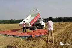 ʱ������