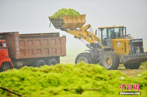 �̦��ɽ���ൺ������&nbsp;��������������