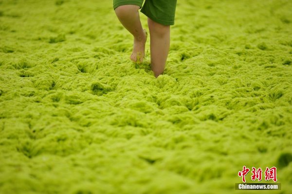 �̦��ɽ���ൺ������&nbsp;��������������