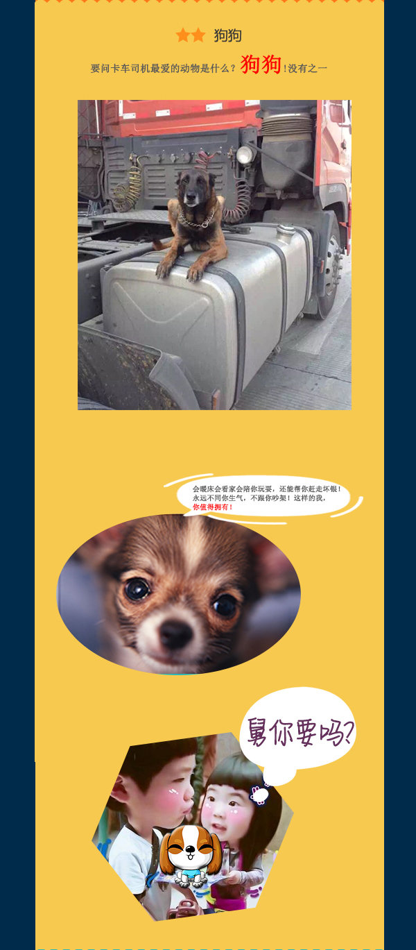 ������ĸ�ͷ��������˾���ֻ�APP����
