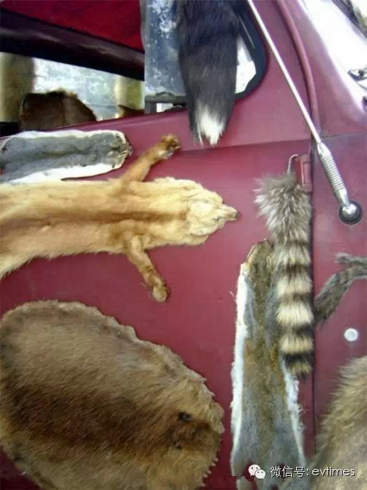 Ϊ�Լ���������Ƥ��&nbsp;��������ĺ���