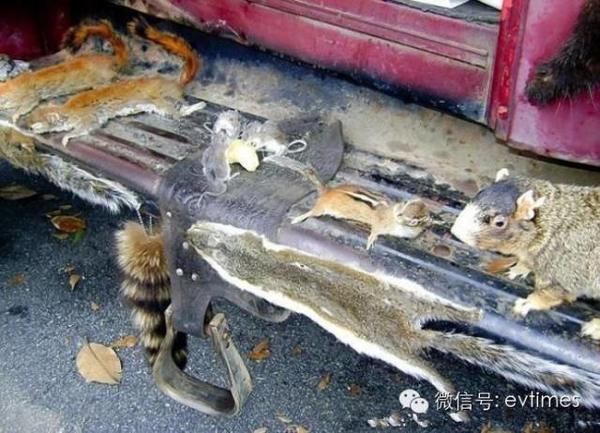 Ϊ�Լ���������Ƥ��&nbsp;��������ĺ���