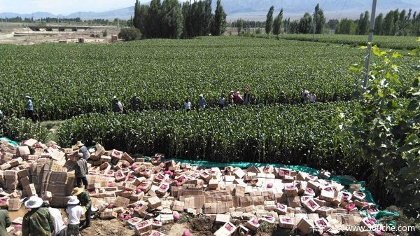 ���ı��������ˣ�&nbsp;�����෭��������