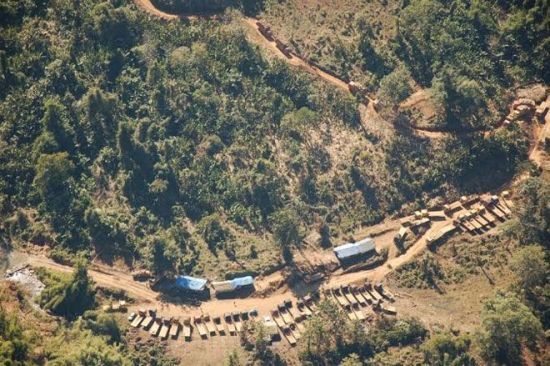 �Ƿ�����ľ��&nbsp;�й���ľ����ƭ��鷥ľ