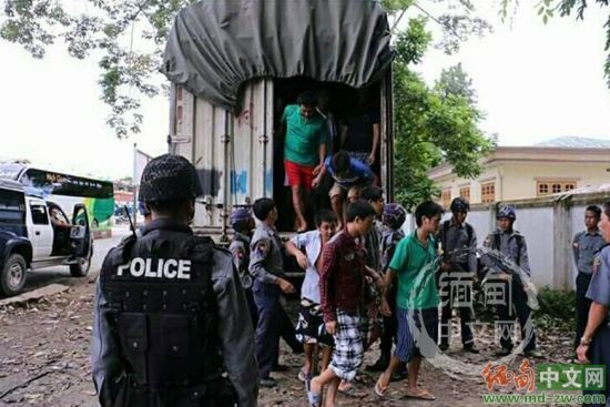 �Ƿ�����ľ��&nbsp;�й���ľ����ƭ��鷥ľ