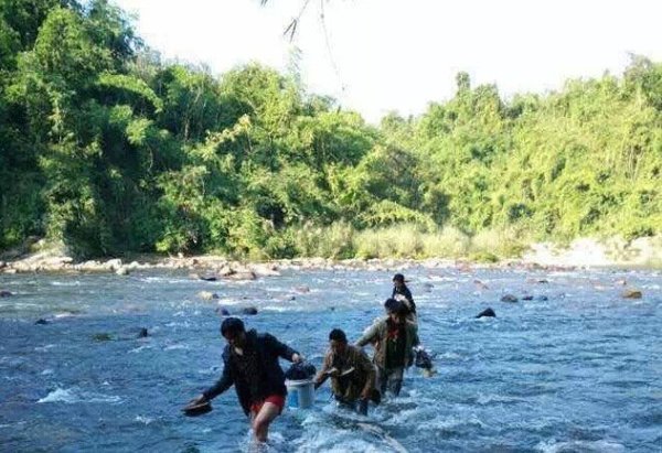 �Ƿ�����ľ��&nbsp;�й���ľ����ƭ��鷥ľ