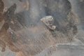 又见罐车事故 如何防止散灰罐车爆炸？