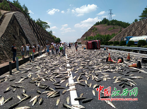 ����·��'����'��&nbsp;���������С���෭