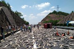 ����·��