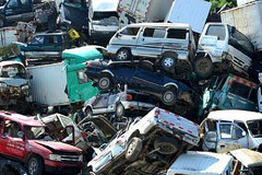 ��̭�Ʊ공�ѻ���ɽ �ϳ�ѭ����������