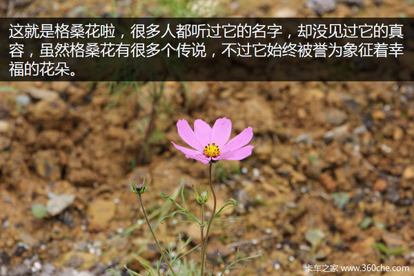 �μǣ��Ӵ�����������&nbsp;��ԭһ·���¶�