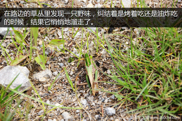 �μǣ��Ӵ�����������&nbsp;��ԭһ·���¶�