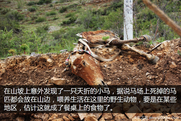 �μǣ��Ӵ�����������&nbsp;��ԭһ·���¶�