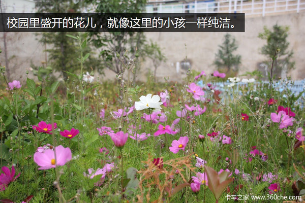 �μǣ��Ӵ�����������&nbsp;��ԭһ·���¶�