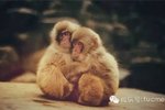 货运APP与园区 一死一伤还是抱团取暖?