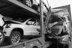 ��˥�����׽��˳�ƨ���� ��С�����¹�