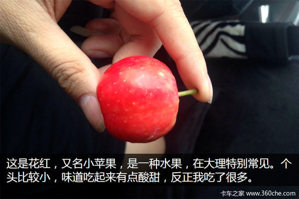 �μǣ��Ӵ�����������&nbsp;��ԭһ·���¶�