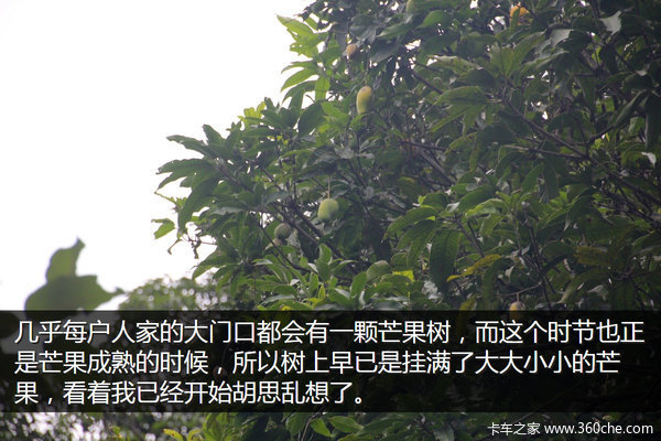 �μǣ��Ӵ�����������&nbsp;��ԭһ·���¶�