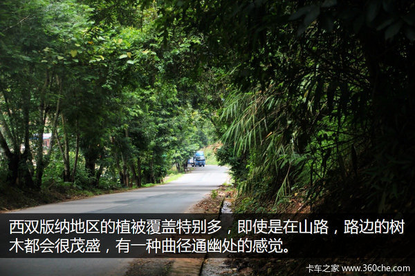 �μǣ��Ӵ�����������&nbsp;��ԭһ·���¶�