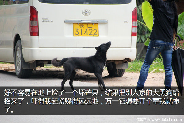 �μǣ��Ӵ�����������&nbsp;��ԭһ·���¶�