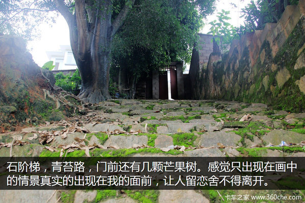 �μǣ��Ӵ�����������&nbsp;��ԭһ·���¶�