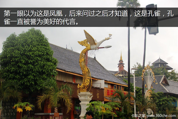 �μǣ��Ӵ�����������&nbsp;��ԭһ·���¶�