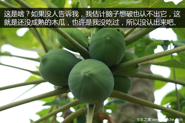 �μǣ��Ӵ�����������&nbsp;��ԭһ·���¶�